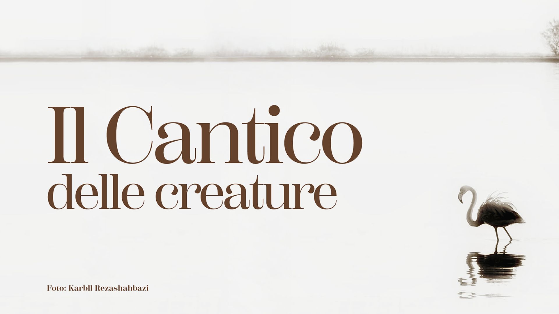 COMUNICATO STAMPA. Il Cantico delle Creature